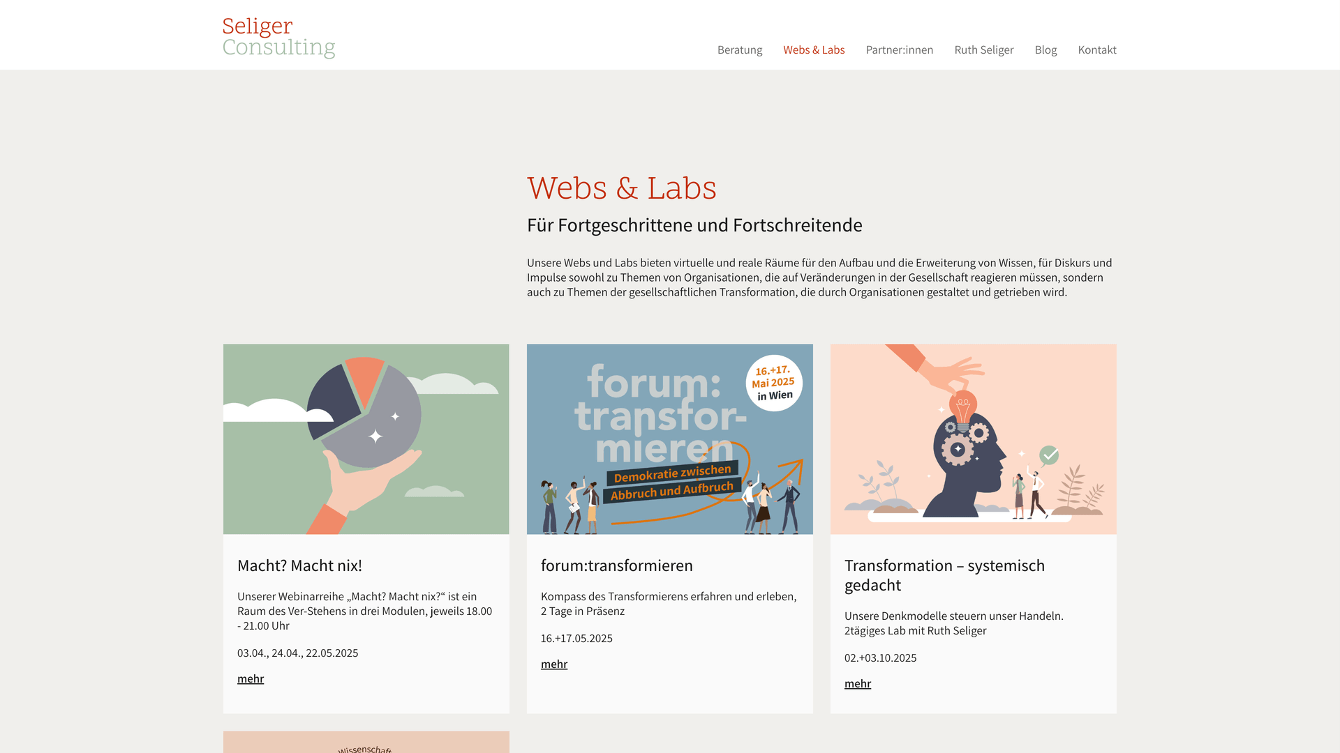 Seliger Consulting Screenshot